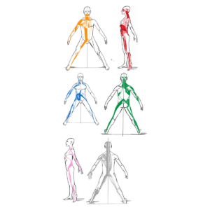 Formation Théorique en Distanciel - Pack Complet