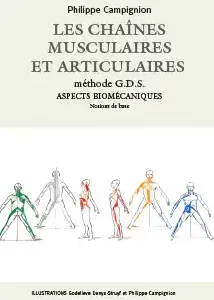 Les chaines musculaires et articulaires