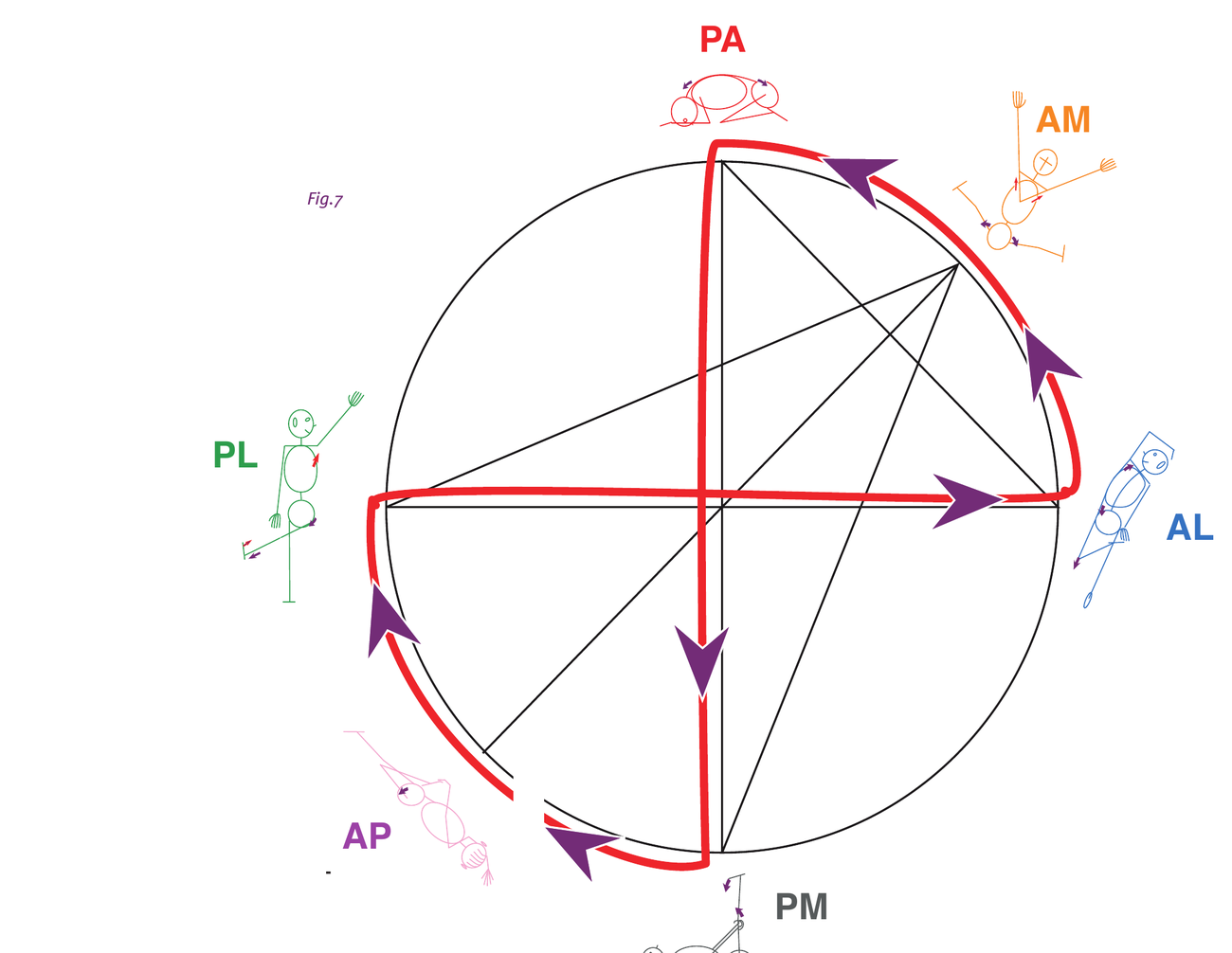Schéma de la stratégie de la lemniscate G.D.S. : cercle reliant les six chaînes PA, AM, AL, PM, PL et AP par un circuit en forme de huit
