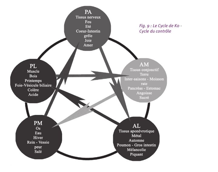Le Cycle de Ko, cycle du contrôle, et les chaînes musculaires GDS